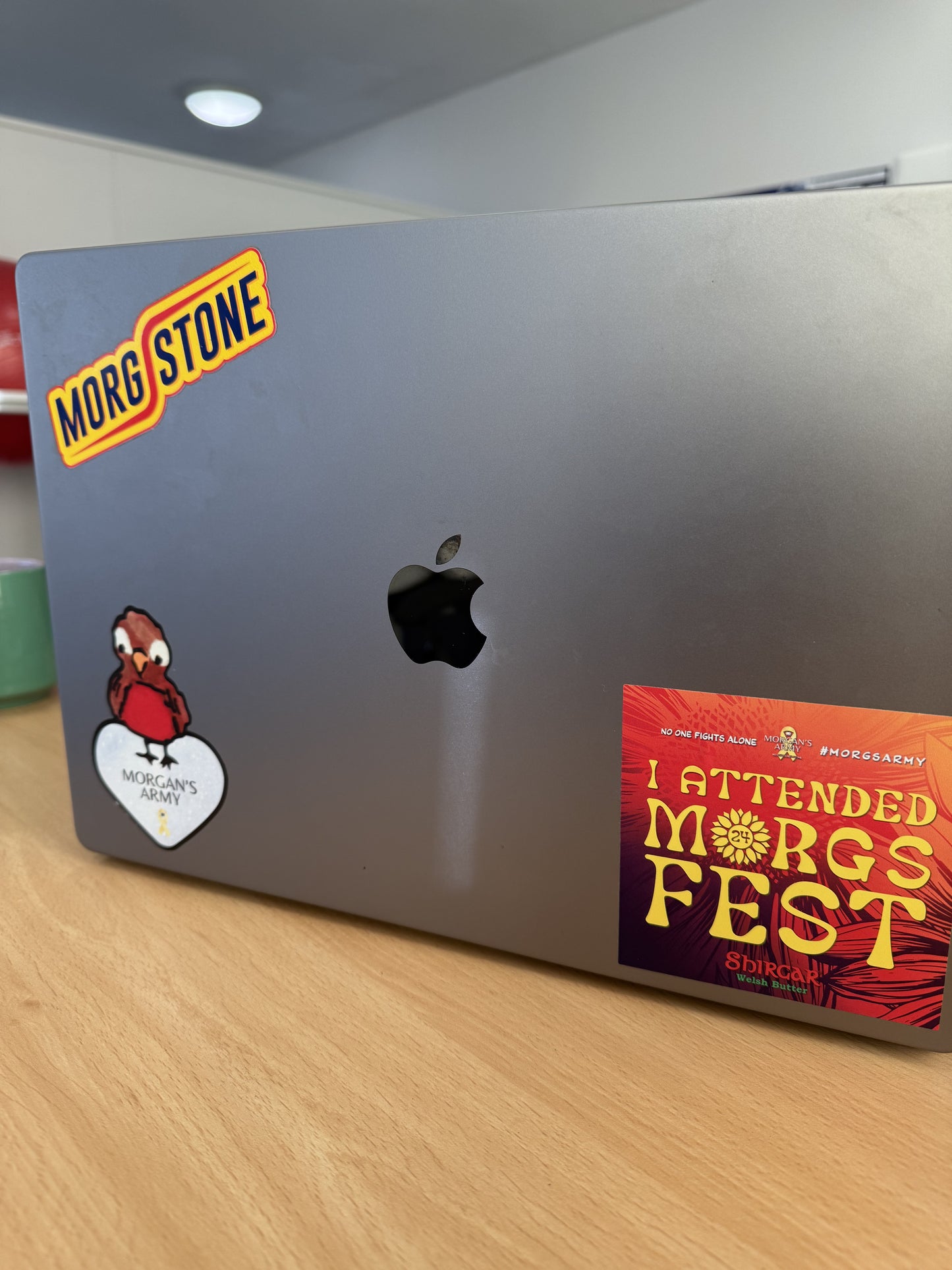 SALE 2024 Robin Christmas Sticker